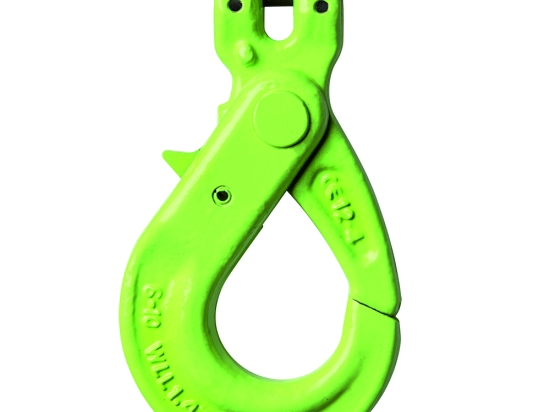 Veiligheids gaffelhaken